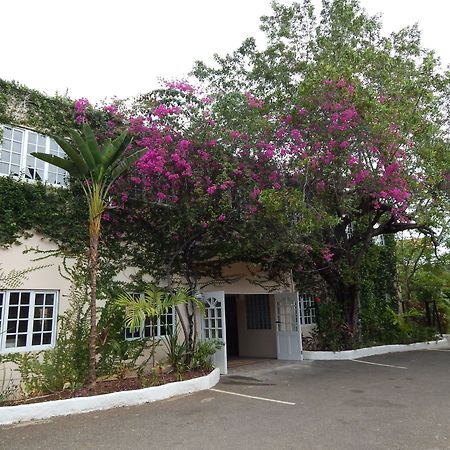Mangos Jamaica Adults Only Hotel Falmouth Ngoại thất bức ảnh