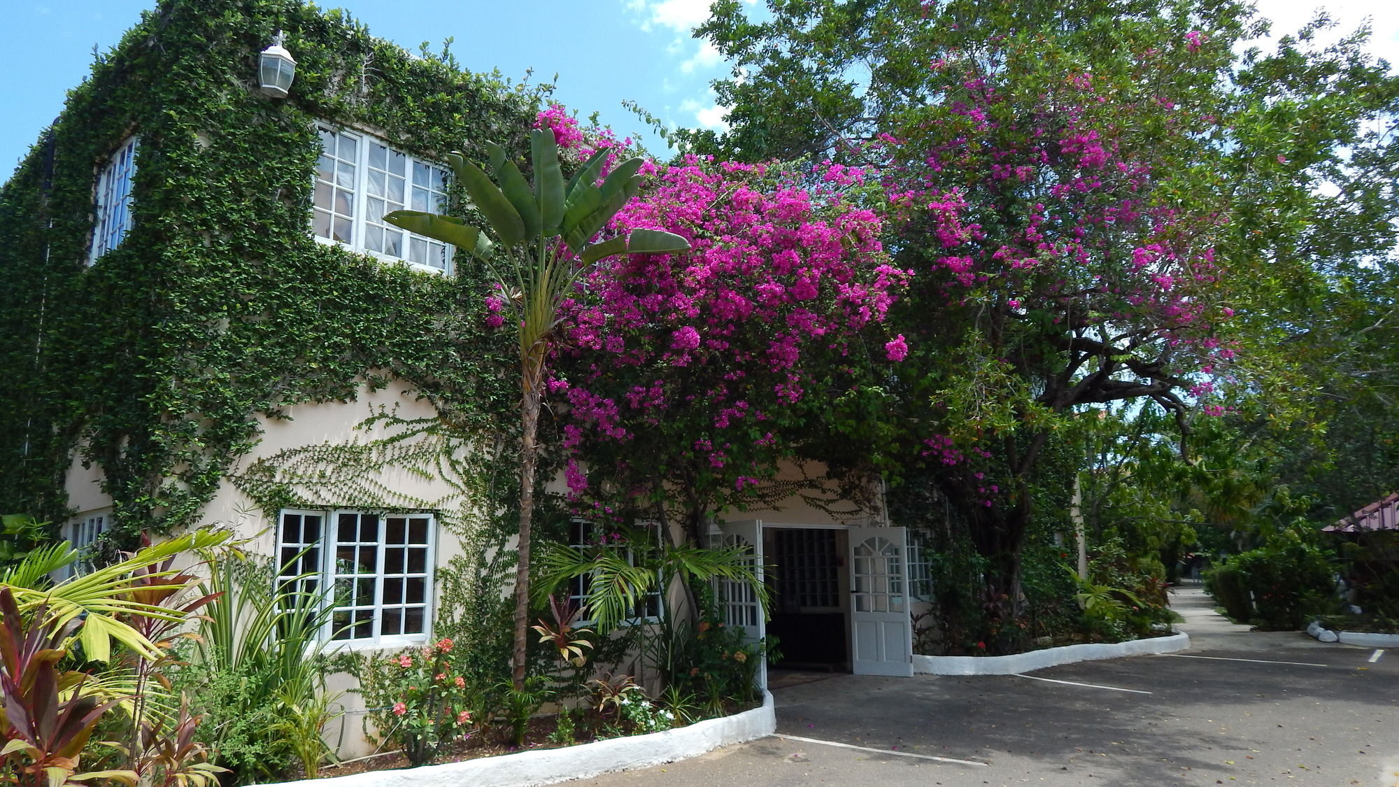 Mangos Jamaica Adults Only Hotel Falmouth Ngoại thất bức ảnh