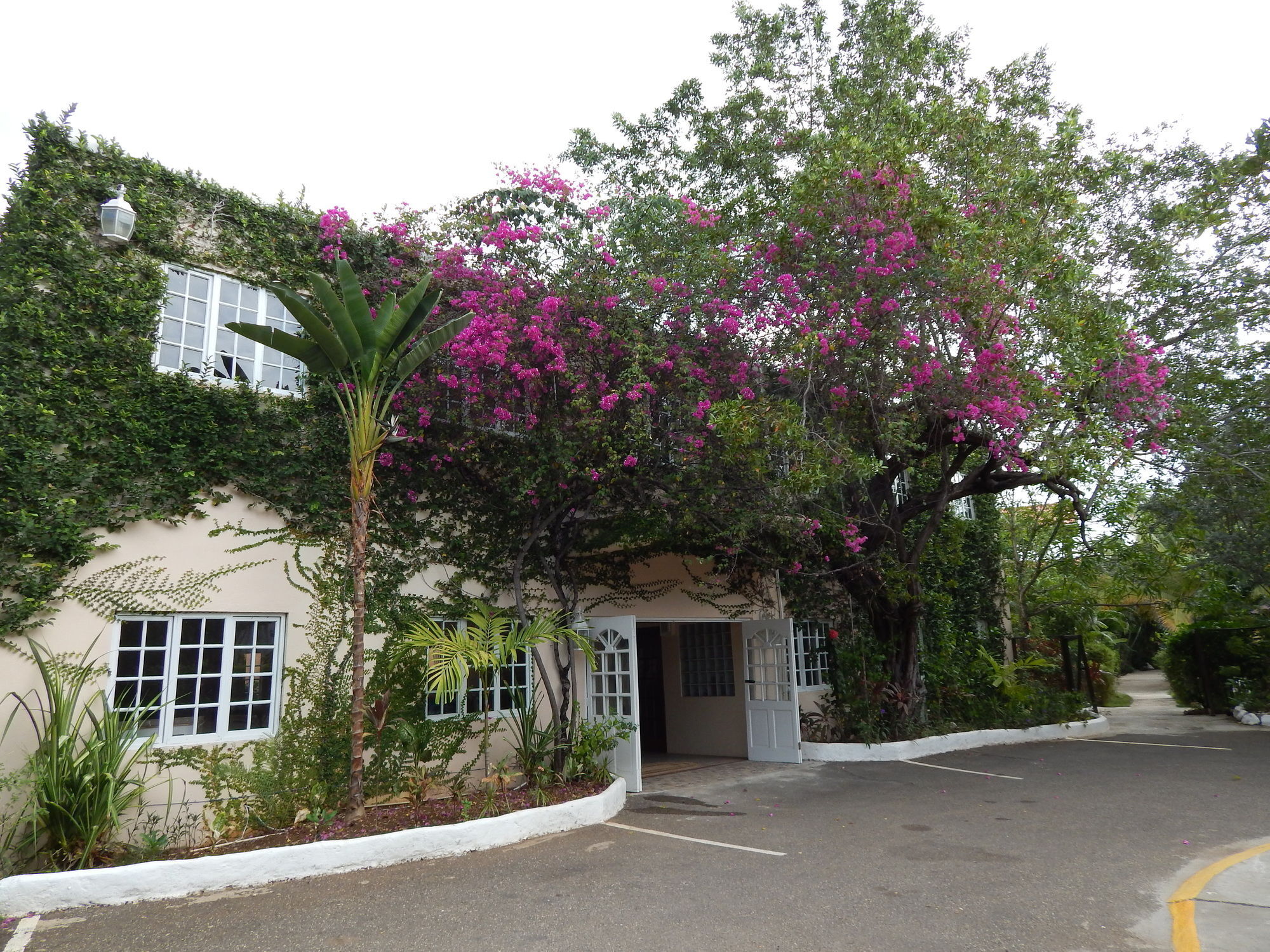 Mangos Jamaica Adults Only Hotel Falmouth Ngoại thất bức ảnh