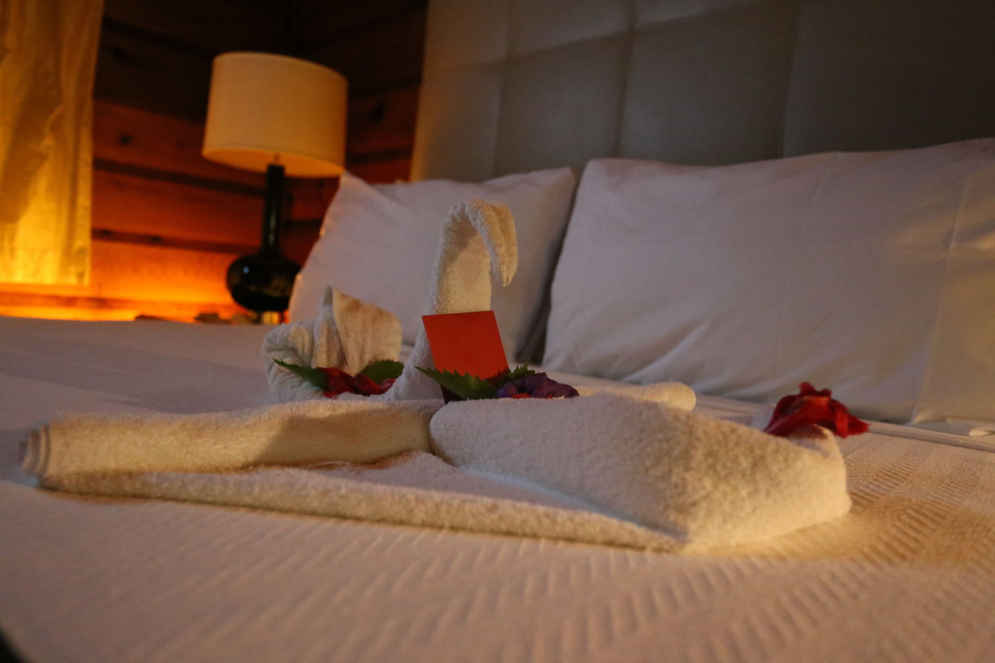 Mangos Jamaica Adults Only Hotel Falmouth Ngoại thất bức ảnh